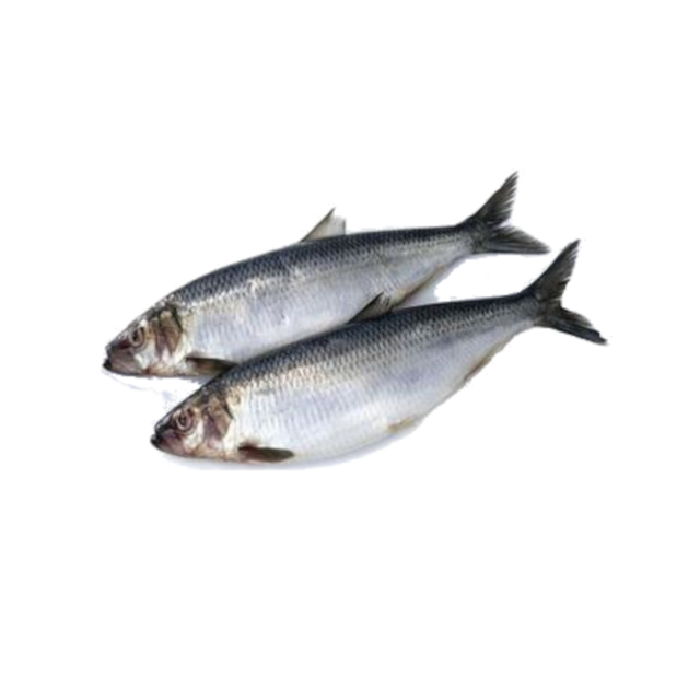 Оселедець середнього посолу, цілий з головою, перший сорт, ДСТУ ГОСТ 815, 1кг